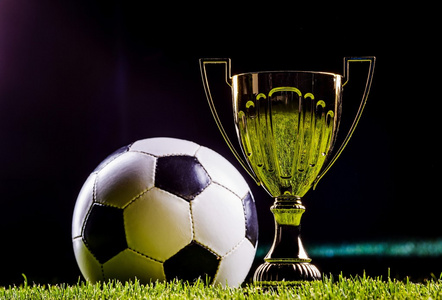 由于身体的 由于身体的